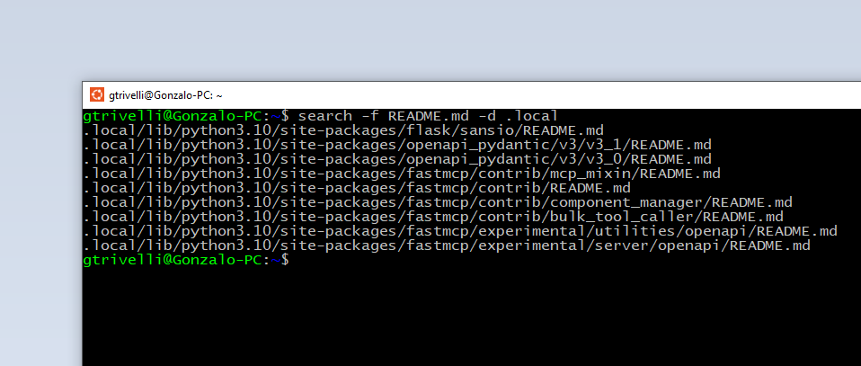 CLI Search Tool